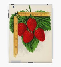 Canadian Horticulturalist 1888-96 - Parker Earle Strawberries iPad Case/Skin