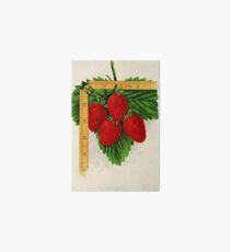 Canadian Horticulturalist 1888-96 - Parker Earle Strawberries Art Board