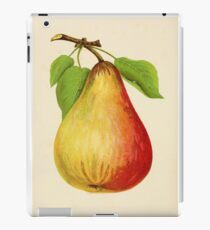 Canadian Horticulturalist 1888-96 - Pear iPad Case/Skin