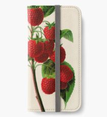 Canadian Horticulturalist 1888-96 - Raspberries iPhone Wallet/Case/Skin