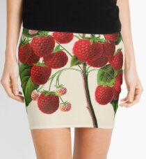 Canadian Horticulturalist 1888-96 - Raspberries Mini Skirt