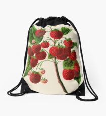 Canadian Horticulturalist 1888-96 - Raspberries Drawstring Bag