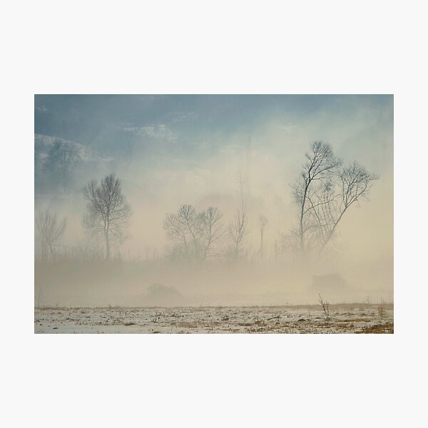 duality... Photographic Print