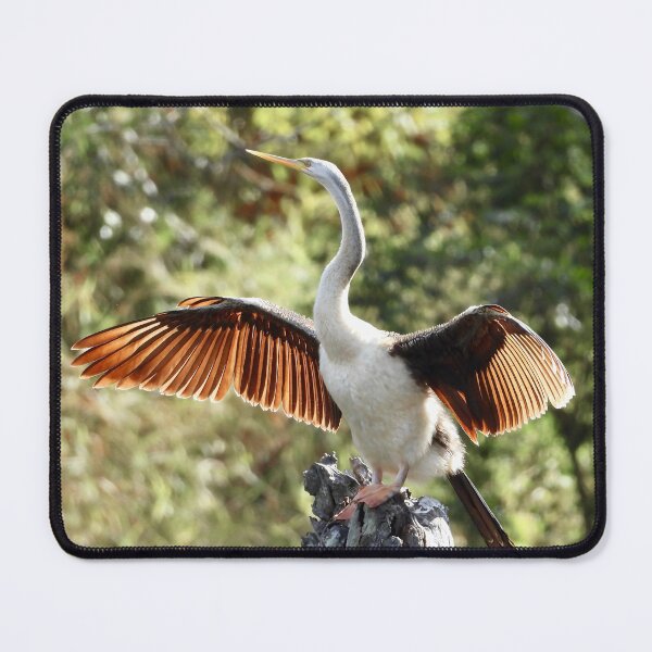 Item preview, Australasian Dater enjoying the sun  designed and sold by Mark Grimsley.