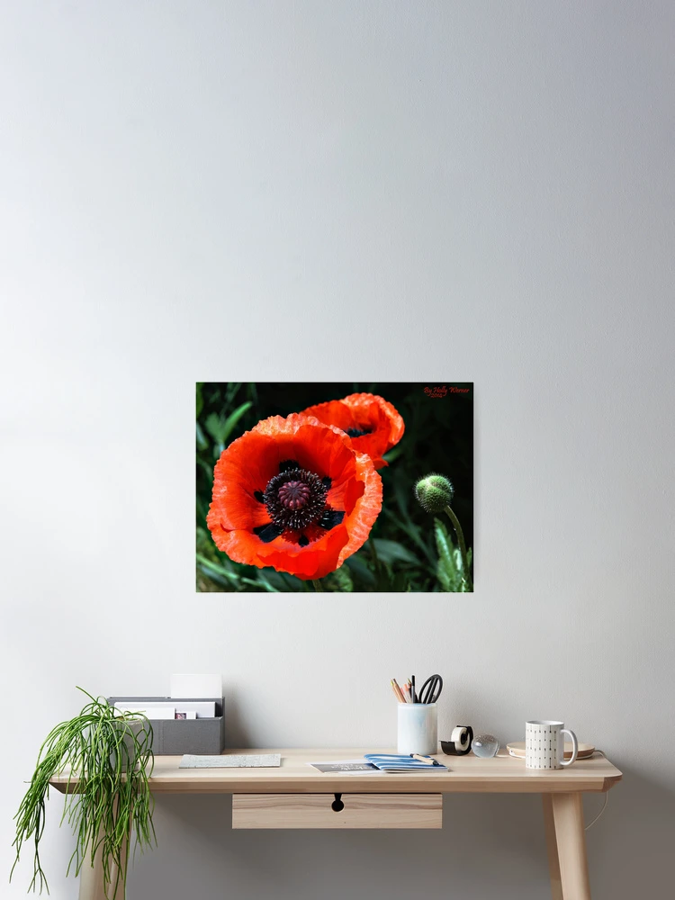 Thumbnail 2 of 3, Poster, Springtime Beauty designed and sold by Holly Werner.