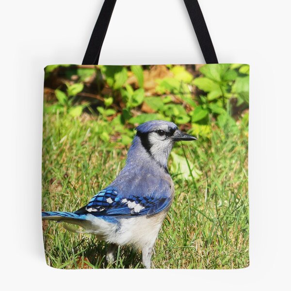 Item preview, Northern Blue Jay designed and sold by Frankie Cat Photography.