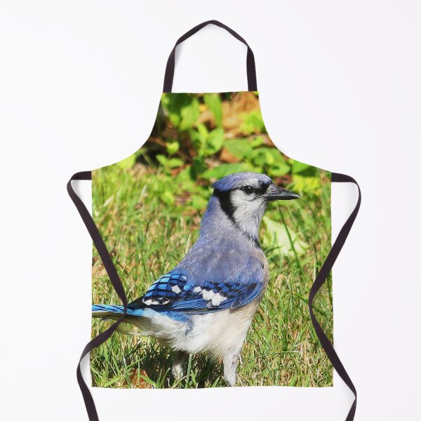 Item preview, Northern Blue Jay designed and sold by Frankie Cat Photography.