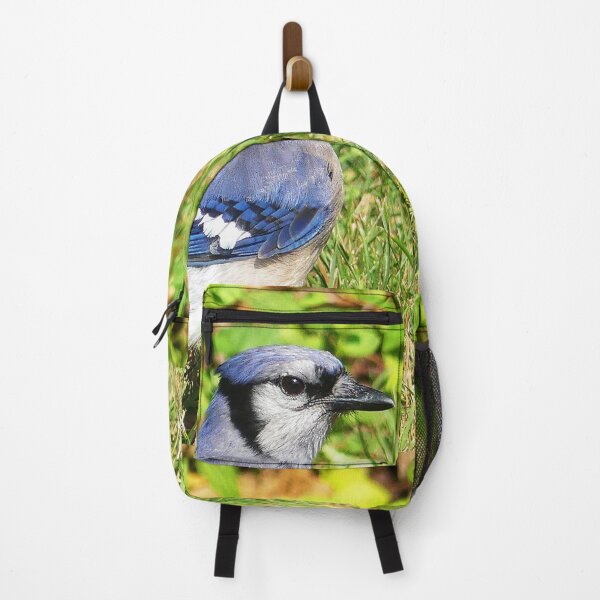Item preview, Northern Blue Jay designed and sold by Frankie Cat Photography.