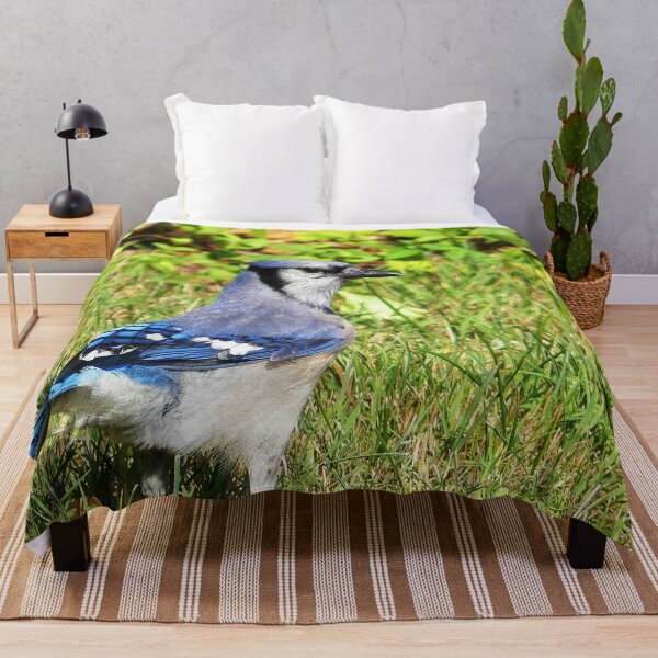 Item preview, Northern Blue Jay designed and sold by Frankie Cat Photography.