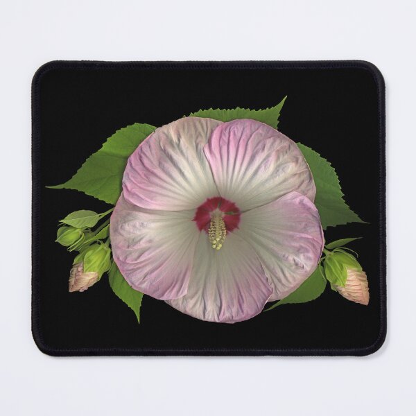 Item preview, Hibiscus designed and sold by Lisa Davis.