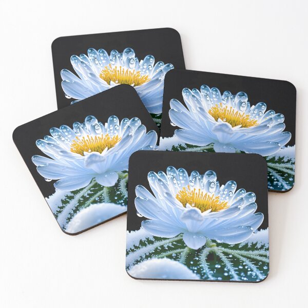 Item preview, still life flower designed and sold by Jean-François Dupuis.