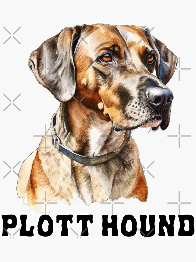 Plott Hound Puppy Mini Plott Hound Old Plott Hound Plott Shops