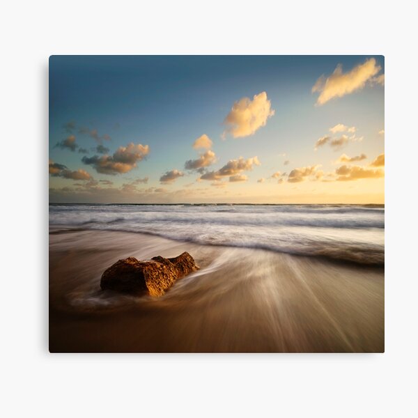 Crocodile Rock Canvas Print