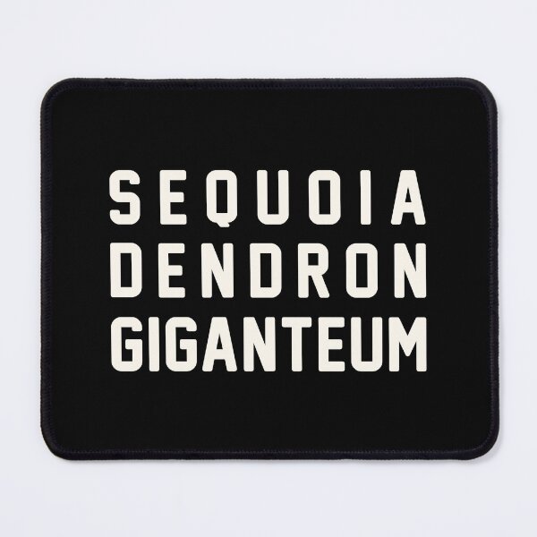 Item preview, Sequoiadendron giganteum / Floral White designed and sold by PEK1787.