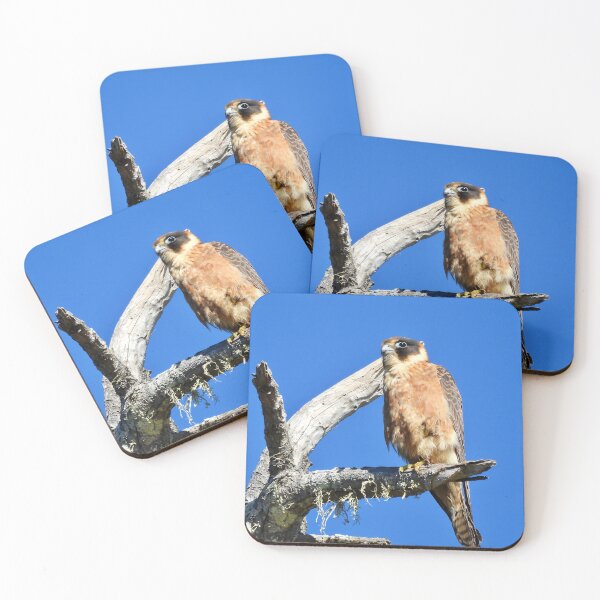 Item preview, Australian Hobby looking over the ocean designed and sold by Mark Grimsley.