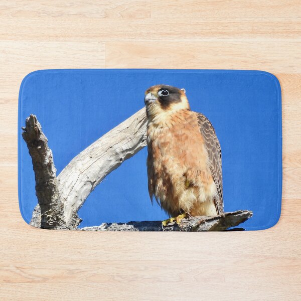 Item preview, Australian Hobby looking over the ocean designed and sold by Mark Grimsley.
