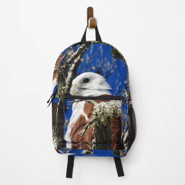 Item preview, Brahminy Kite Dundowran Beach designed and sold by Mark Grimsley.