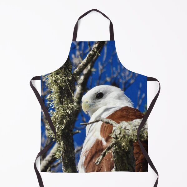 Item preview, Brahminy Kite Dundowran Beach designed and sold by Mark Grimsley.