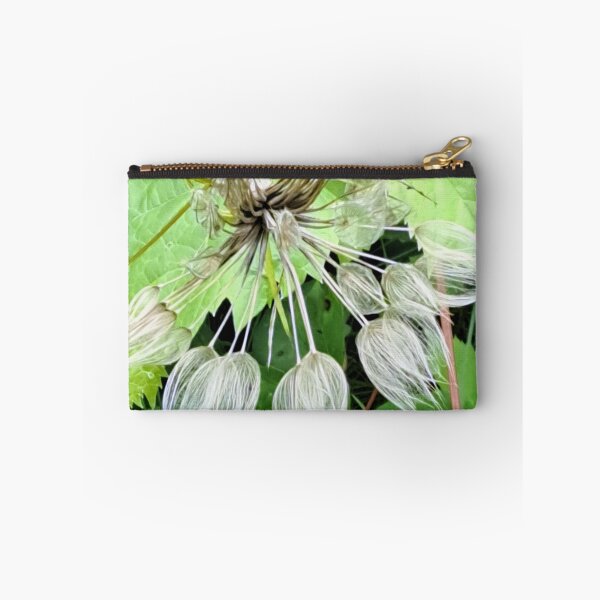 Artikelvorschau, Kanadische Geisterblume entworfen und verkauft von OnionWizard.