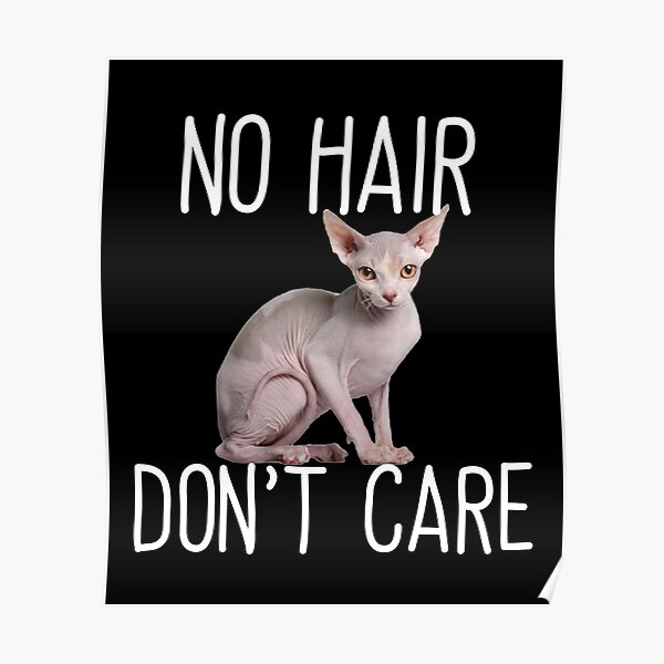 No Hair Dont Care Hairless Sphynx Cat Poster By Molamode Redbubble