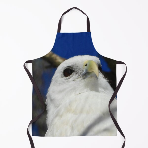 Item preview, Brahminy Kite close-up on the Beach designed and sold by Mark Grimsley.