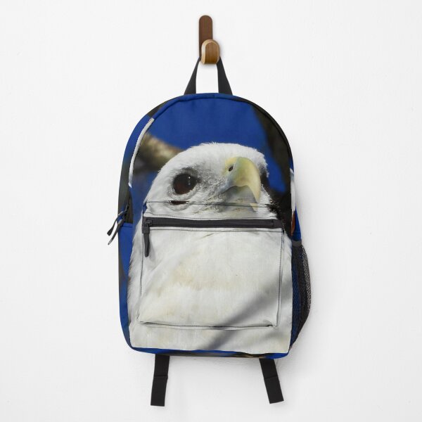 Item preview, Brahminy Kite close-up on the Beach designed and sold by Mark Grimsley.