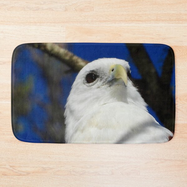Item preview, Brahminy Kite close-up on the Beach designed and sold by Mark Grimsley.