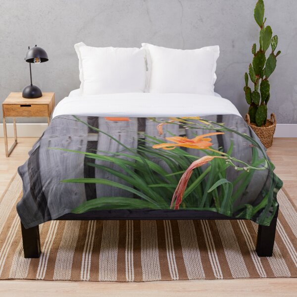 Item preview, Lirio de tigre canadiense del patio trasero designed and sold by OnionWizard.