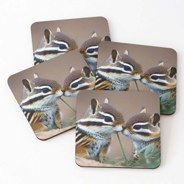 Item preview, Chipmunk Love designed and sold by afrancisCL.