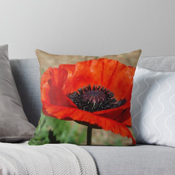 Item preview, Beauties Brilliance  designed and sold by Holly Werner.