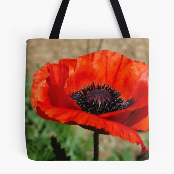 Item preview, Beauties Brilliance  designed and sold by Holly Werner.