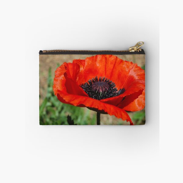 Item preview, Beauties Brilliance  designed and sold by Holly Werner.