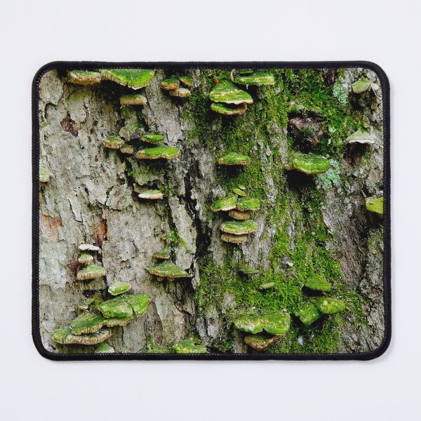 Item preview, Mossy Mushroom Maple designed and sold by bjtomiko.