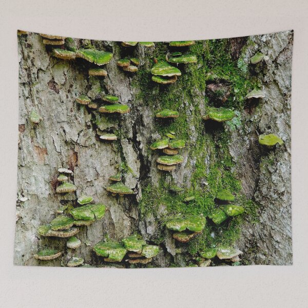 Item preview, Mossy Mushroom Maple designed and sold by bjtomiko.
