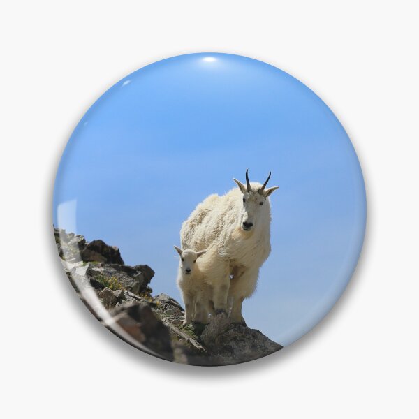 Item preview, Mountain goats designed and sold by zumi.