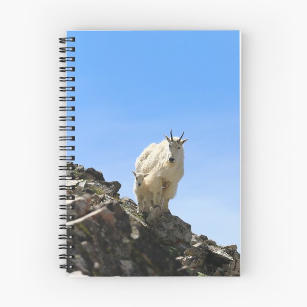 Item preview, Mountain goats designed and sold by zumi.