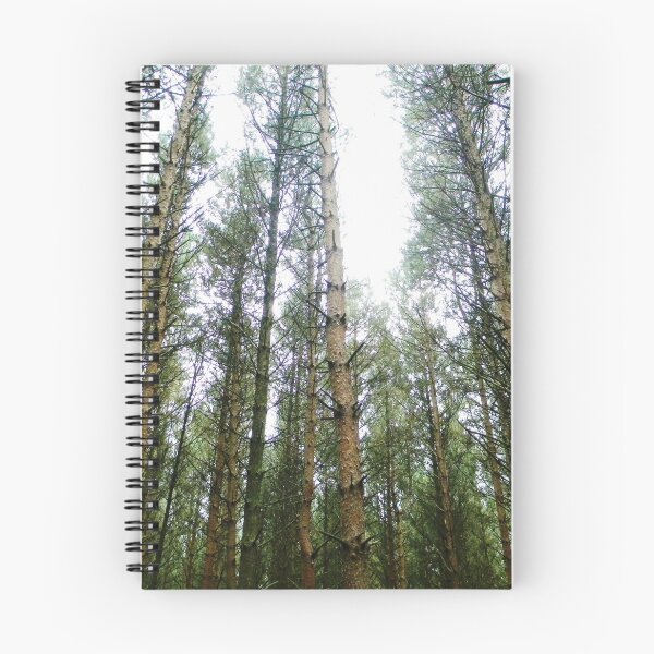 Artikelvorschau, Waldweg-Kiefer-Wald. entworfen und verkauft von WrenBellSaTea.