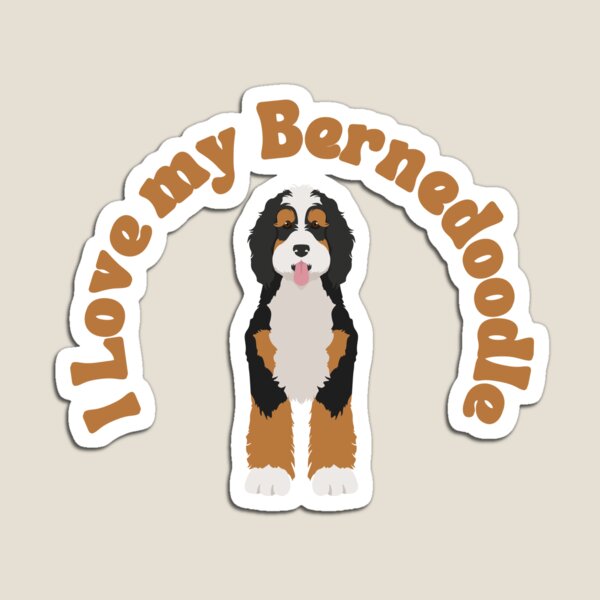Item preview, Bernedoodle Sticker designed and sold by cprivitera08.