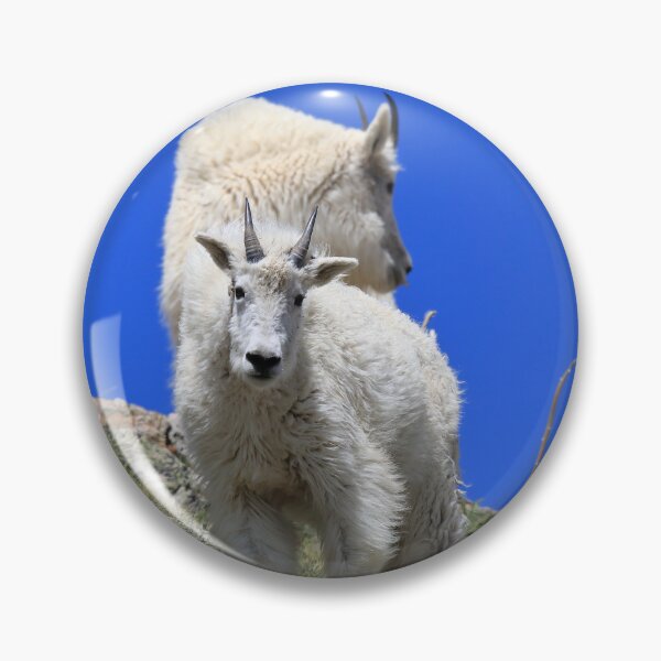 Item preview, Two Mountain goats II designed and sold by zumi.