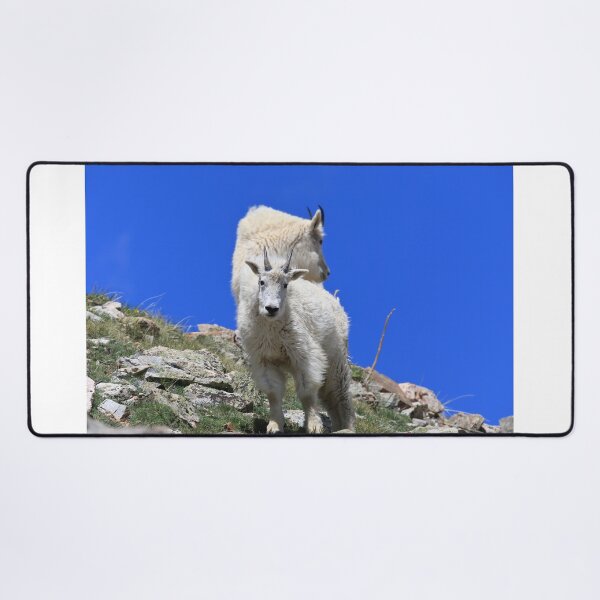 Item preview, Two Mountain goats II designed and sold by zumi.
