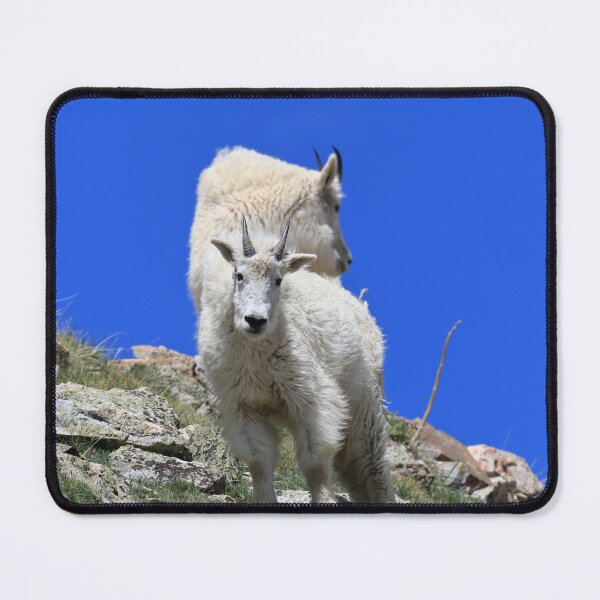 Item preview, Two Mountain goats II designed and sold by zumi.