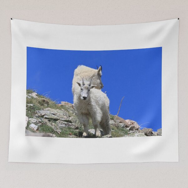 Item preview, Two Mountain goats II designed and sold by zumi.