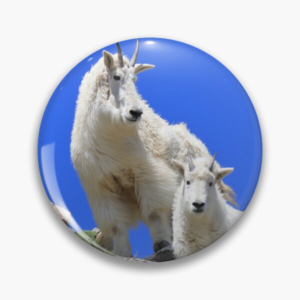 Item preview, Two Mountain goats III designed and sold by zumi.