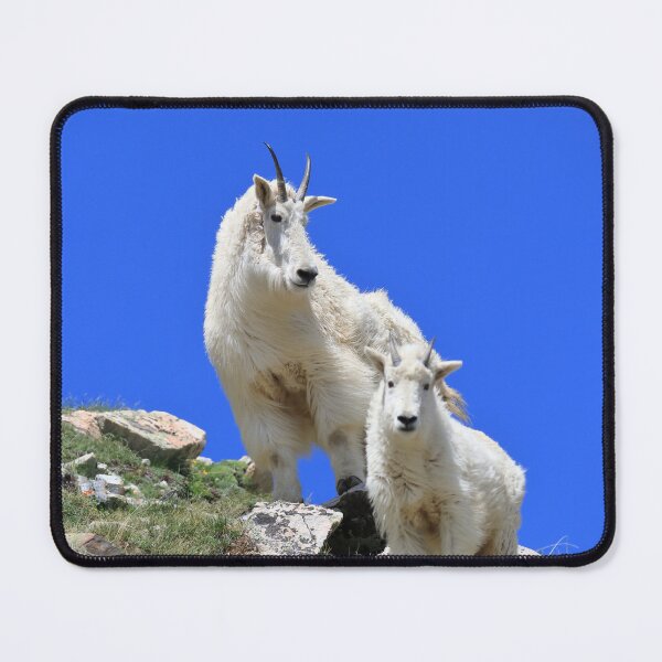 Item preview, Two Mountain goats III designed and sold by zumi.