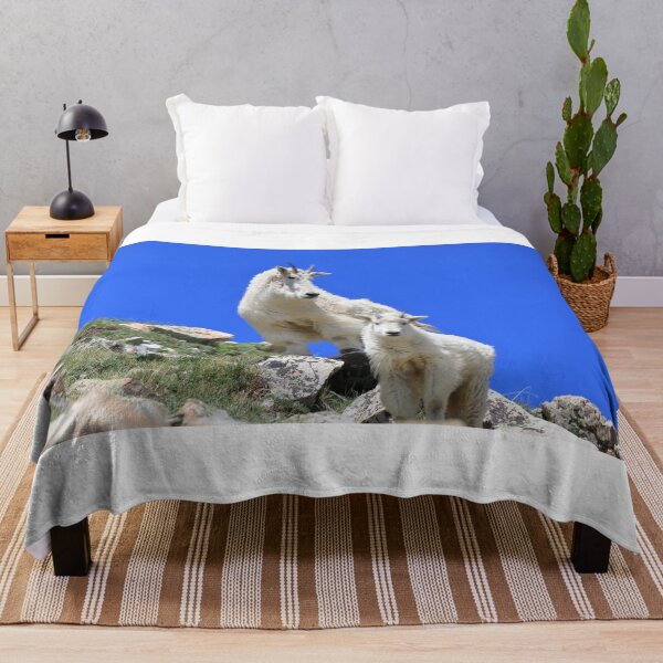 Item preview, Two Mountain goats III designed and sold by zumi.