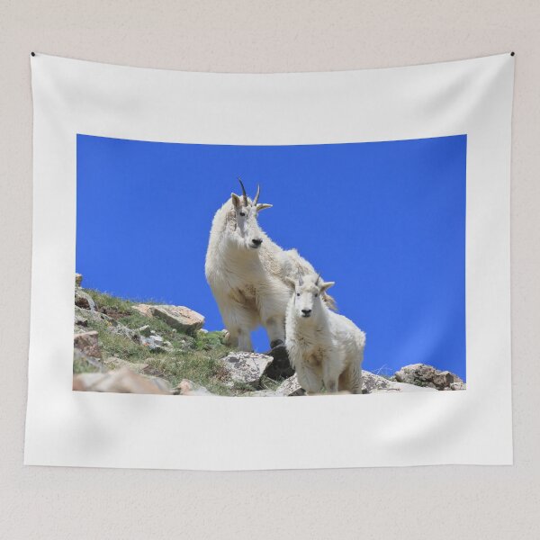 Item preview, Two Mountain goats III designed and sold by zumi.