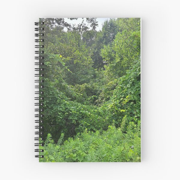 Item preview, A Peek into a Great Canadian Trail designed and sold by OnionWizard.