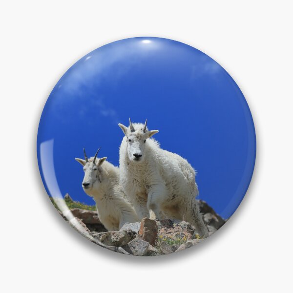 Item preview, Mountain goats designed and sold by zumi.