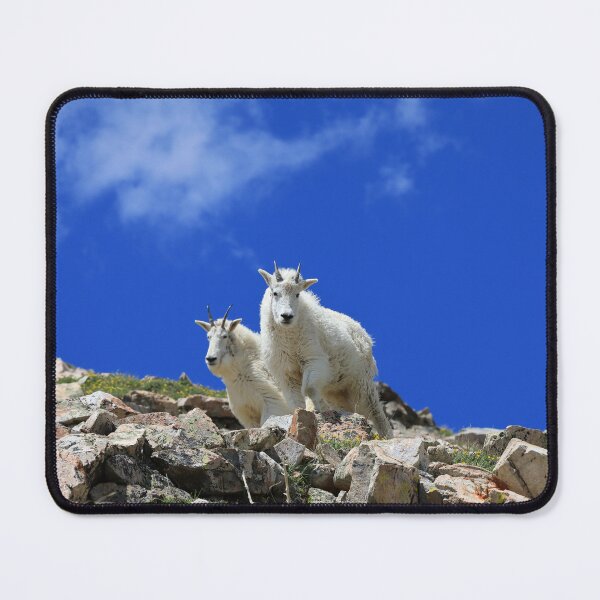 Item preview, Mountain goats designed and sold by zumi.