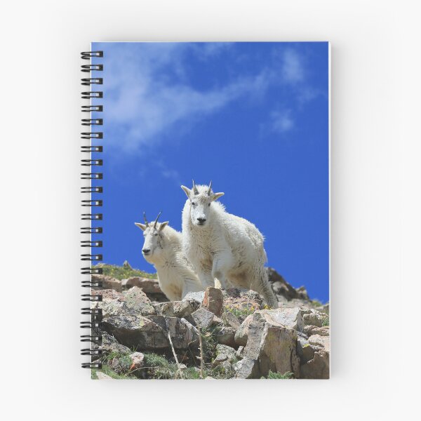 Item preview, Mountain goats designed and sold by zumi.